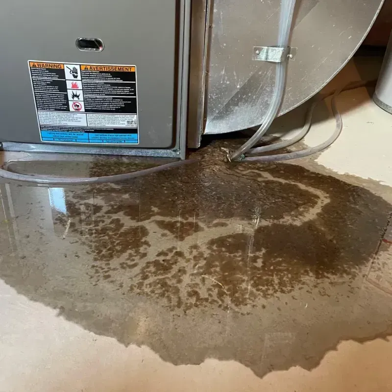 Appliance Leak Cleanup in Bluff City, TN